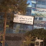 دکتر  محمد رضا نیازی