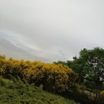 بوستان حافظ