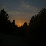 بوستان حافظ