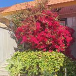 مطب مامایی آفرینش (فاطمه علیان نژاد)