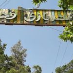تپه خرگوشان