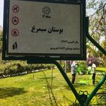 سرویس بهداشتی بوستان سیمرغ
