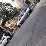 سوپر مرغ و پروتئین فرداد