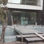 علیرضا گرایی