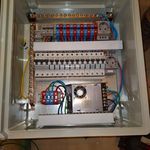 علیرضا گرایی