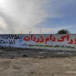 خوراک دام زردانه