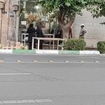 نانوایی تافتون
