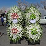 گل فروشی دنیز آنلاین (شعبه 2)