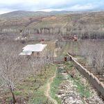 ویلا مهمانسرای مادربزرگ