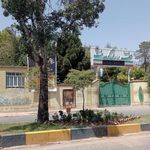 شهرداری کوهدشت
