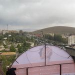 بیمارستان دامپزشکی اطلس