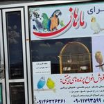 پرنده فروشی