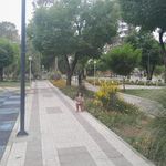 بوستان جوان