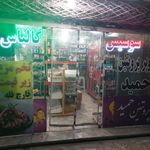 پروتئین حمید