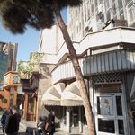 فروشگاه گل