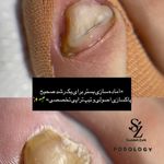 خدمات تخصصی ناخن سودابه ضربی