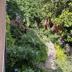 طراحی،نگهداری،اجرا(محوطه سازی روف گاردن)