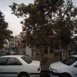 نانوایی بربری
