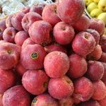 میوه فروشی اقلید یزدانی