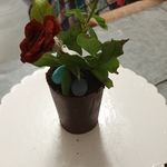 کیک شیرینی خانگی الی بانو