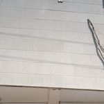 یاس