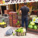 میوه فروشی جنت صفری