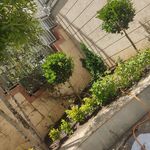 سم پاشی باغبانی سمپاشی هرس آقا نودهی