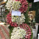 گل کوشا