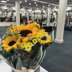 باشگاه ورزشی نیرومان