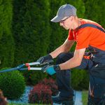 خدمات کشاورزی مجید