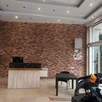 کاغذ دیواری پردیس پایتخت