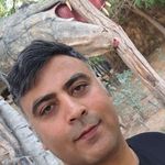 رضا حامدیان