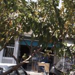 نانوایی