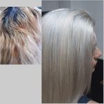 مرکز تخصصی مو و زیبایی سمیه داوری