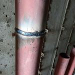 کیوان امین پور