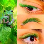 مرکز تخصصی اکستنشن مژه و لیفت نگار