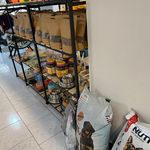 کلینیک دامپزشکی امید