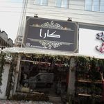 گل گندم