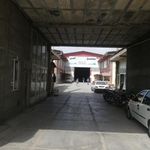 مجتمع MDFاهی