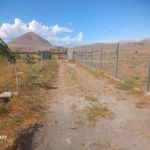 مسجد صاحب الزمان النجق