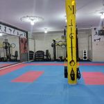 باشگاه ورزشی پالیز