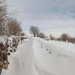 مسجد صاحب الزمان النجق