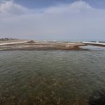 ساحل شفارود