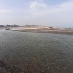 ساحل شفارود