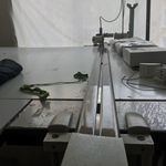 تولیدی بی بی بلنکت