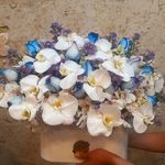 گل فروشی آندیا (شعبه دو)