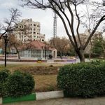 بوستان جامی
