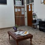 دکتر شیوا لطفی