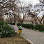 بوستان جامی
