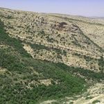 روستای رئین